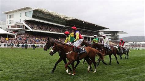 cheltenham results